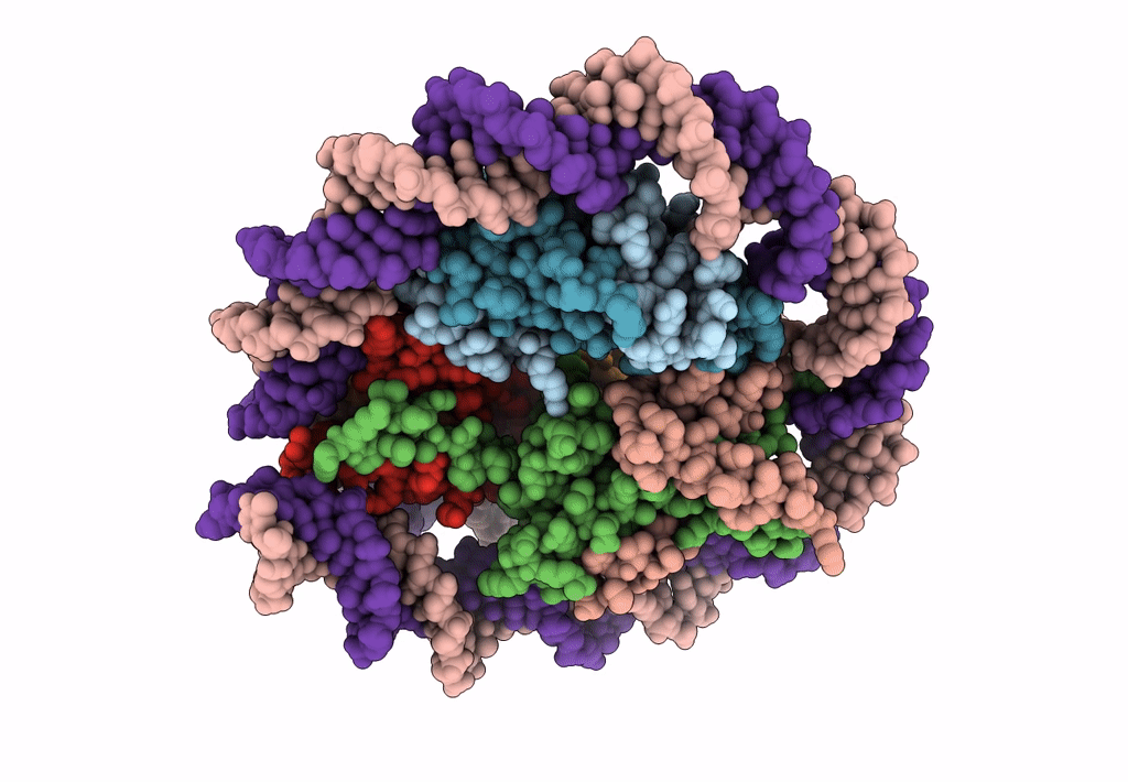 8ETT image