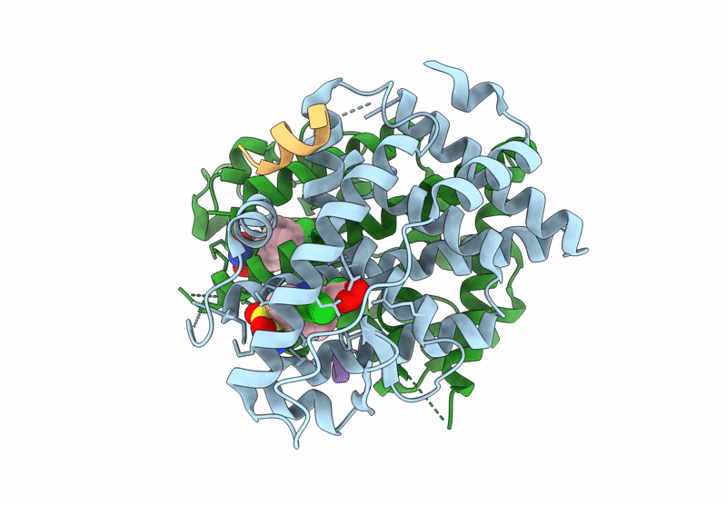 8EV2 image