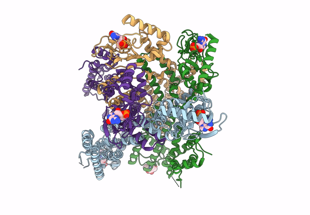 8EV8 image