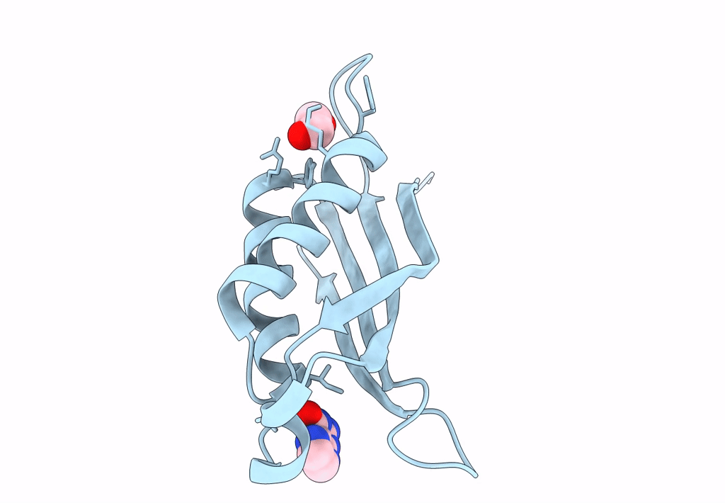 8EVK image