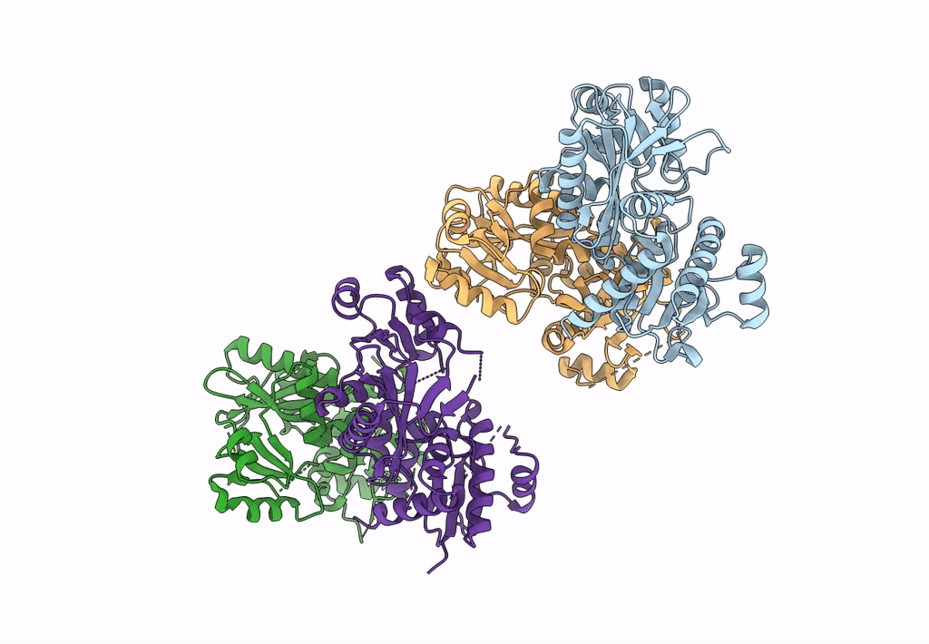 8EVV image