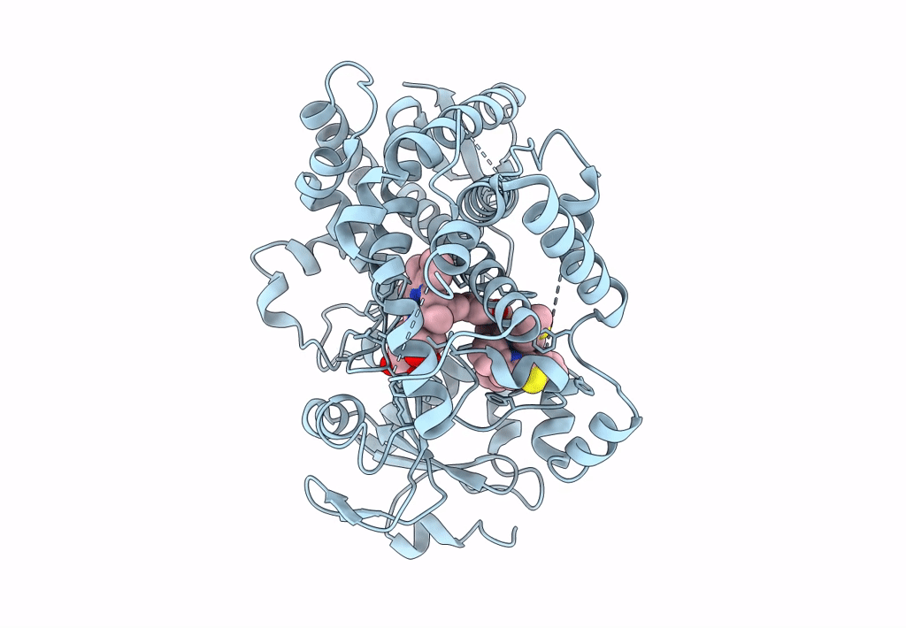 8EWP image