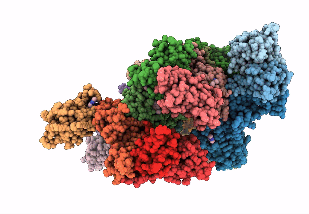 8EWV image