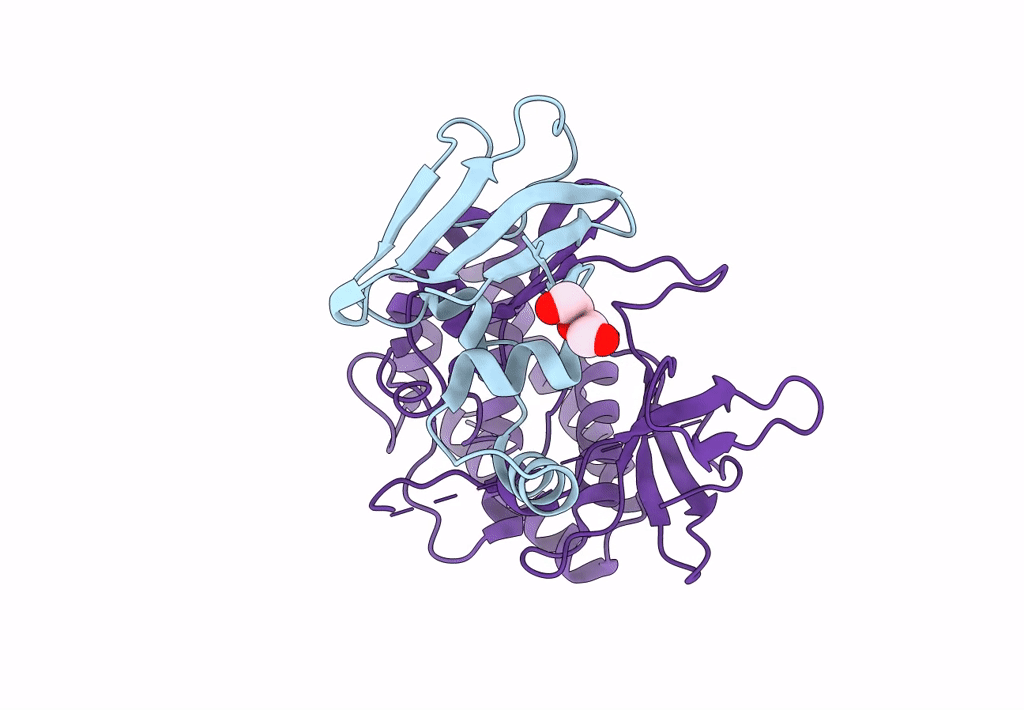 8EZR image