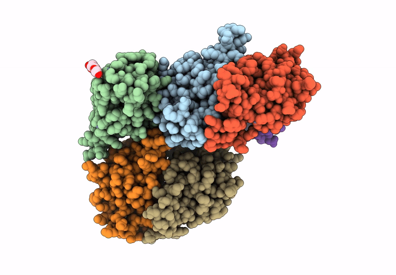 8F1B image