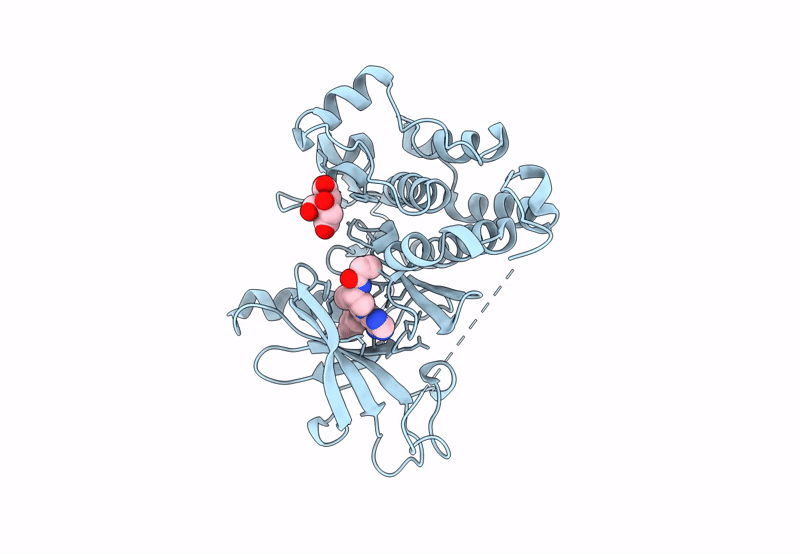 8F1H image