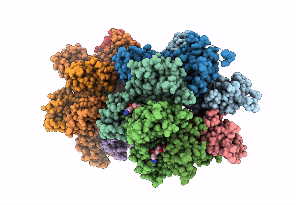 8F22 image