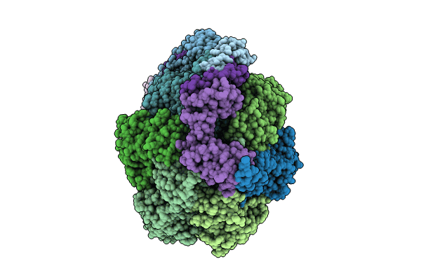 8F29 image
