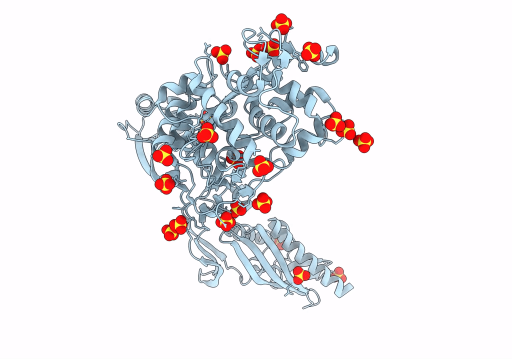 8F3H image