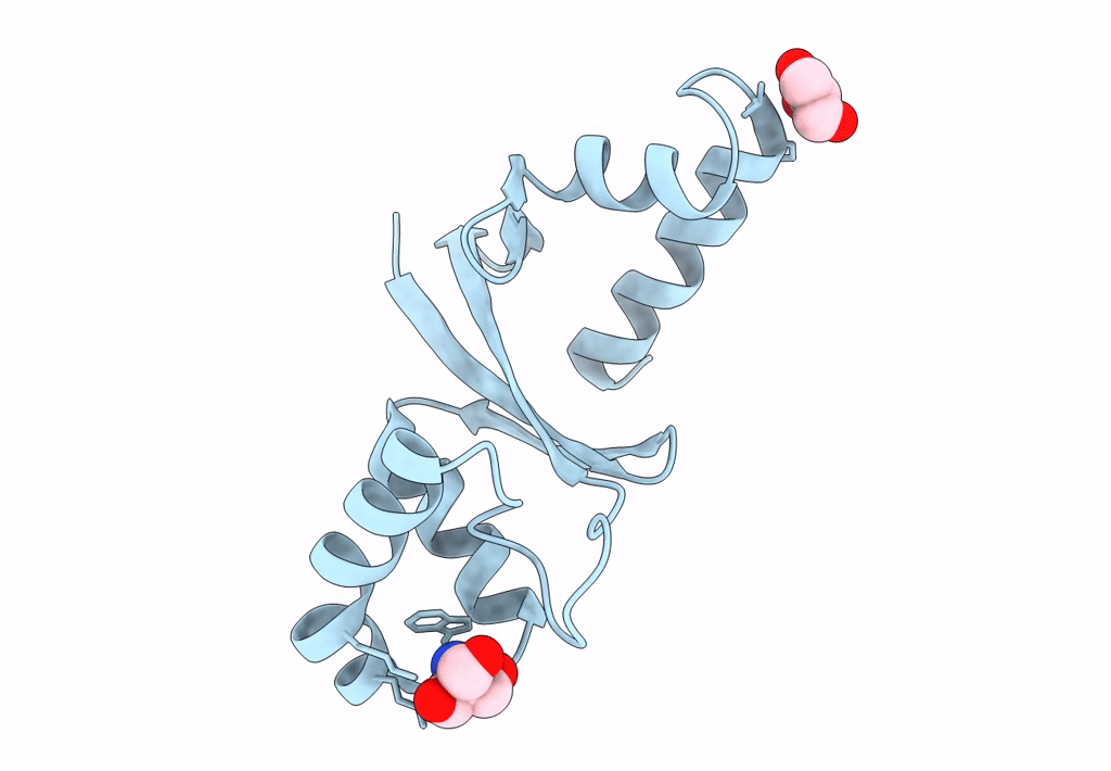 8F3K image