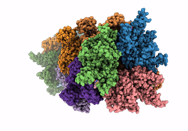 8F41 image