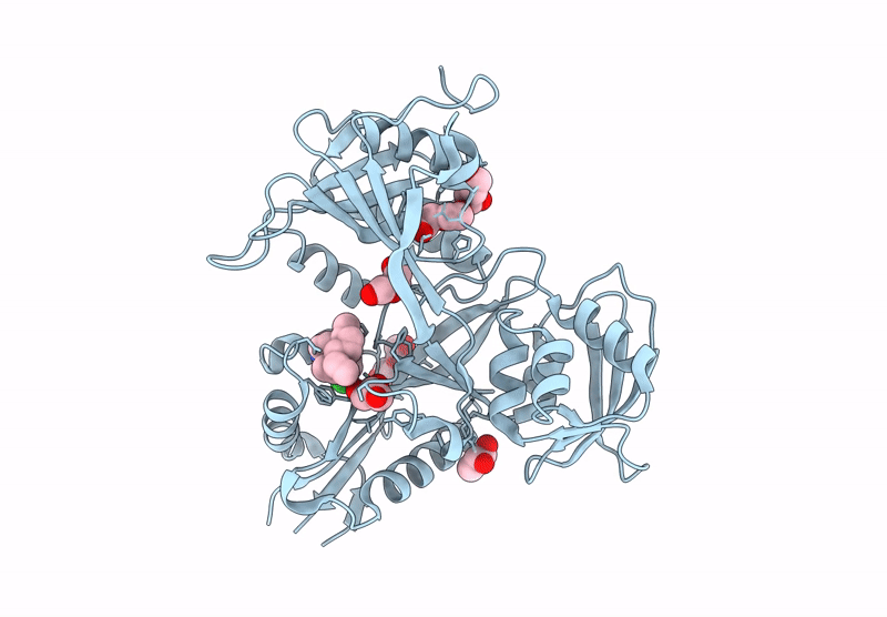 8F4Z image