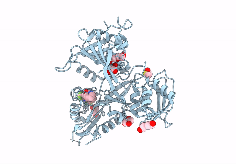 8F51 image