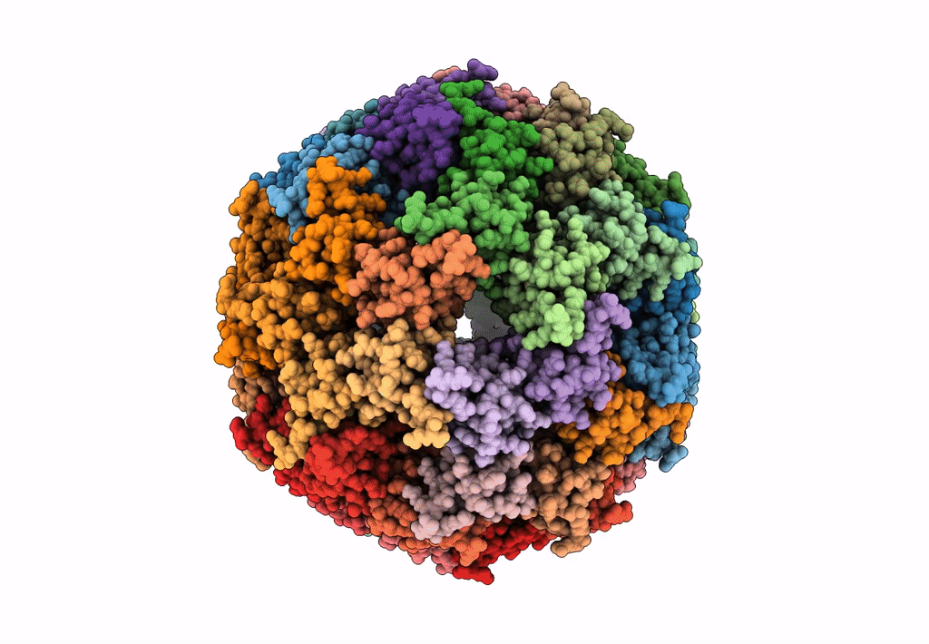 8F53 image