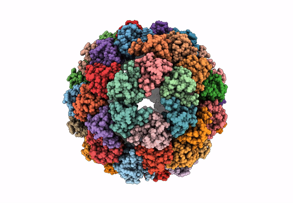 8F54 image
