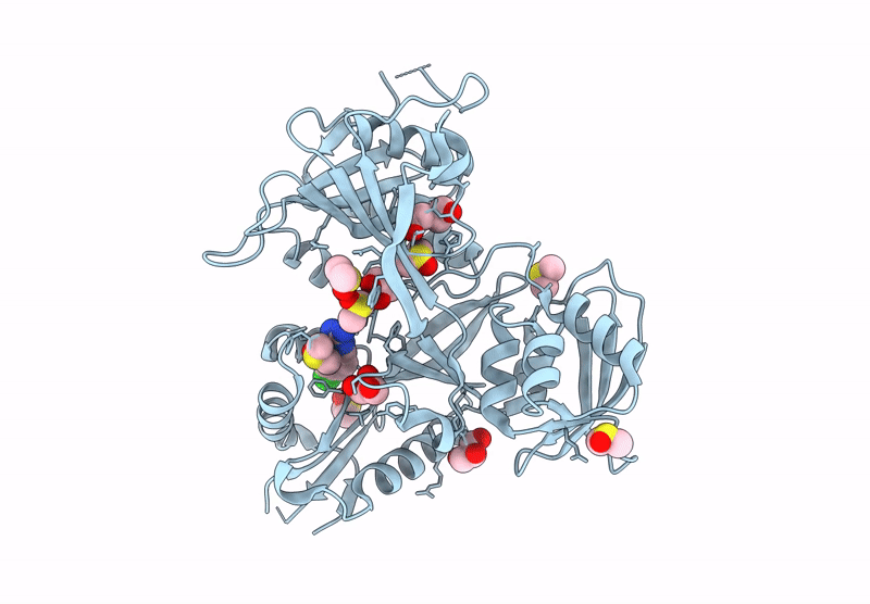 8F55 image