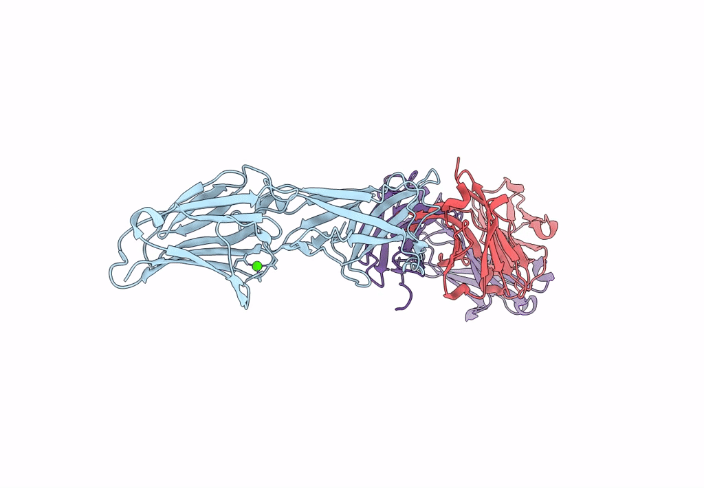 8F5N image