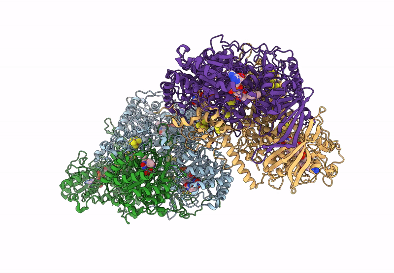 8F61 image