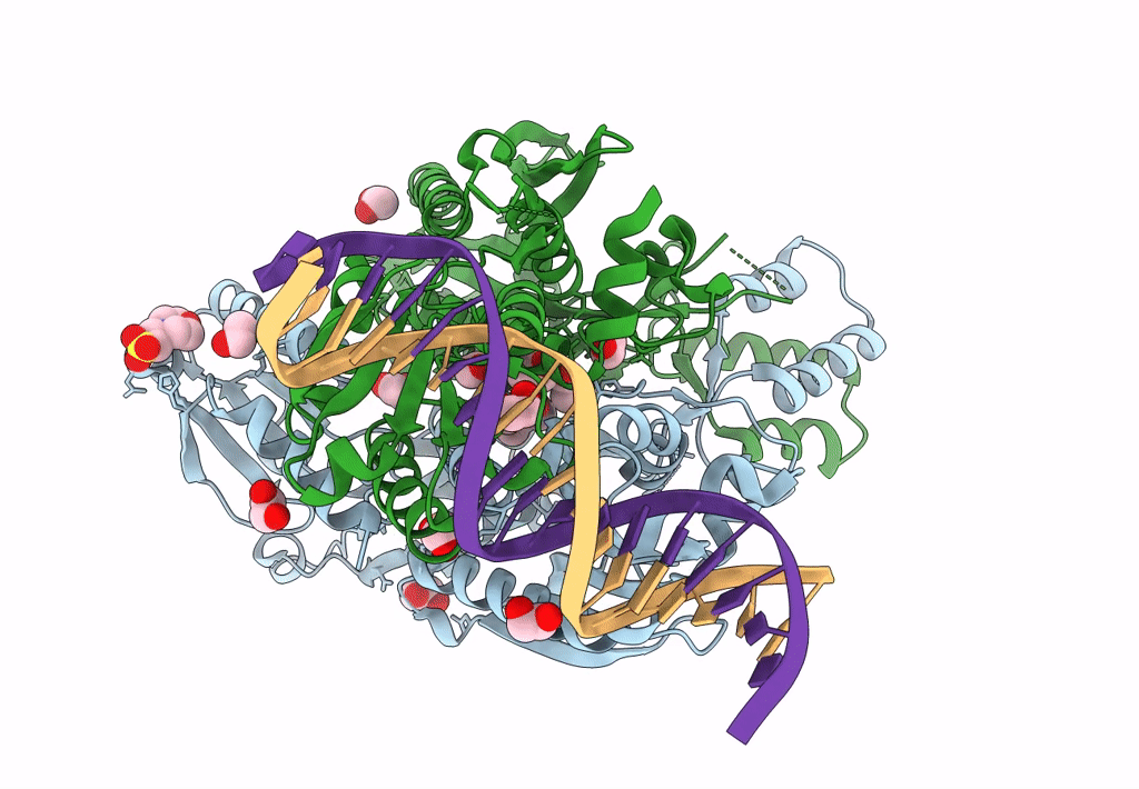 8F69 image