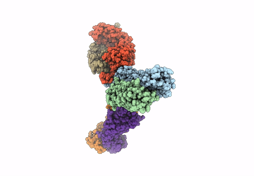 8F6H image