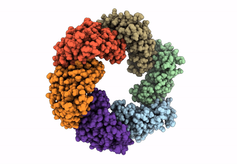 8F6R image