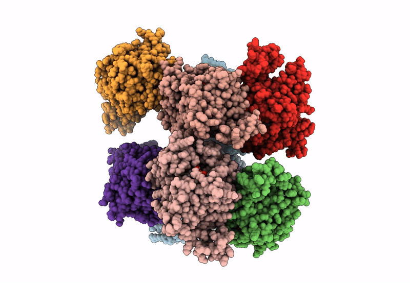 8F73 image