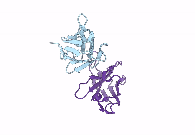 8F8V image