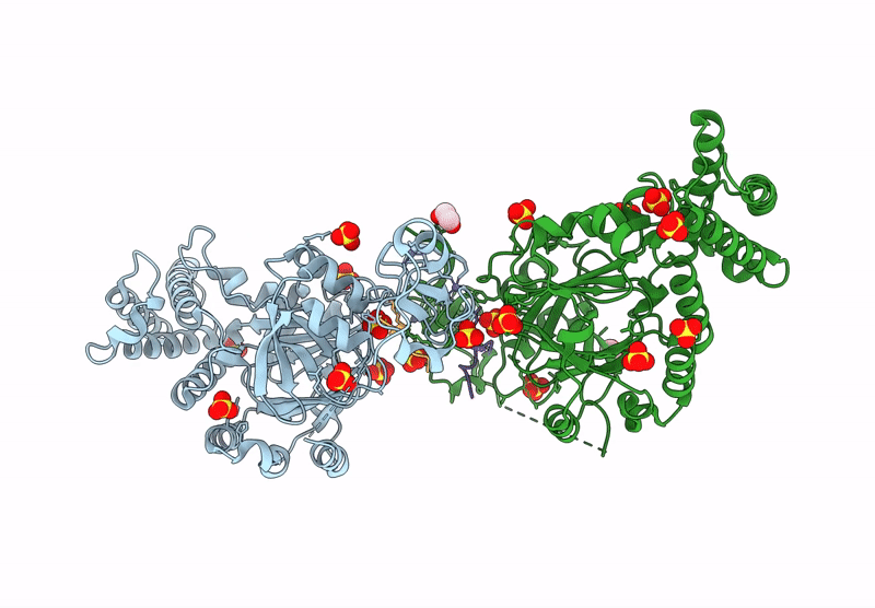 8F8Z image