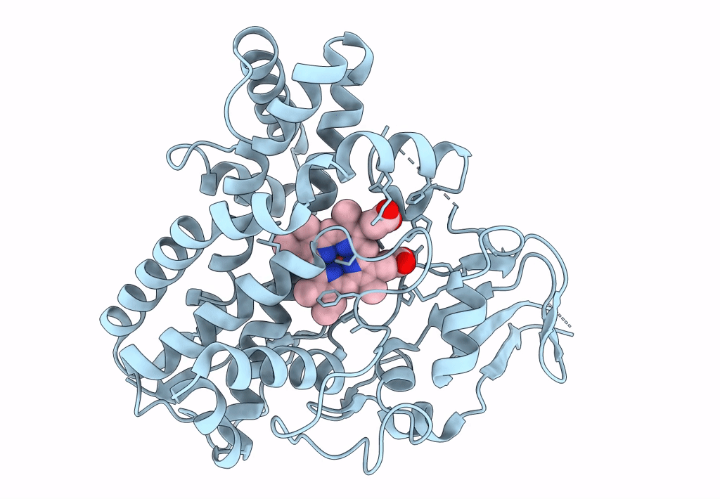 8F91 image