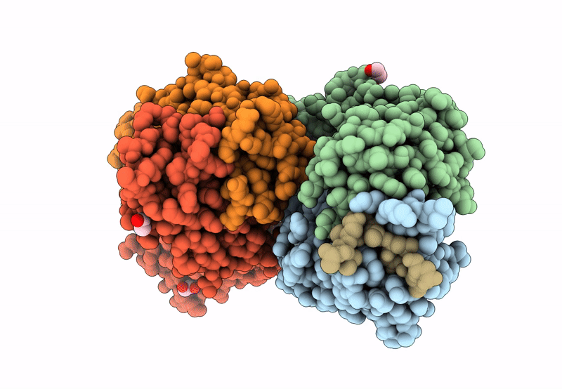 8F95 image