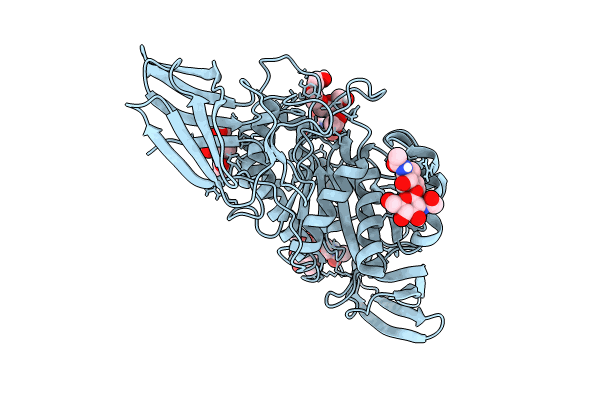 8F9P image