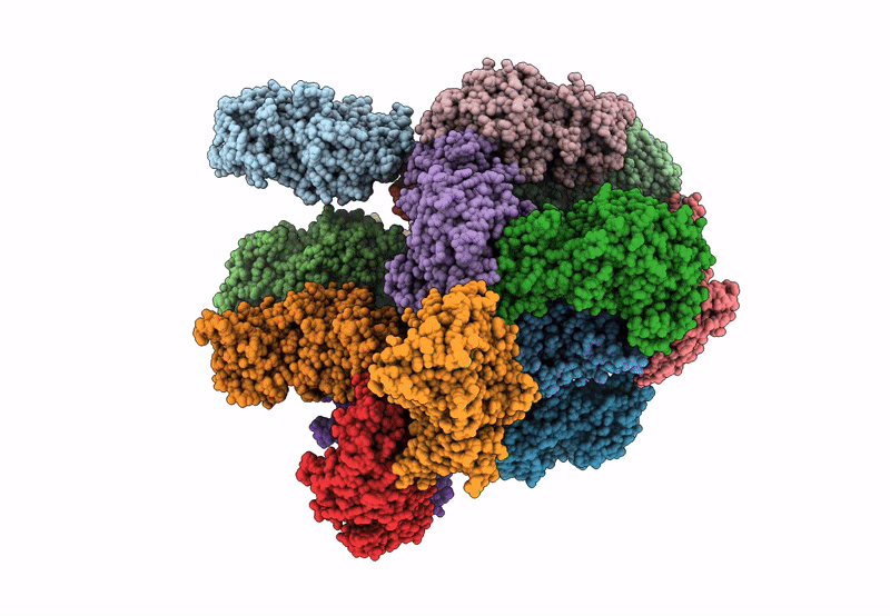 8FAA image
