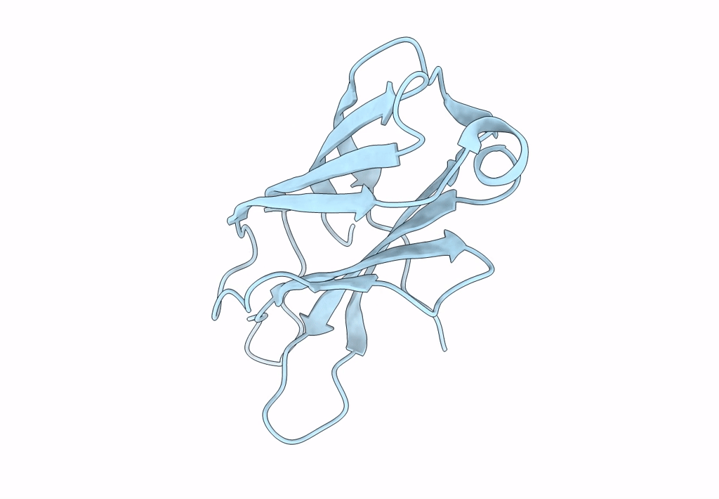 8FAF image