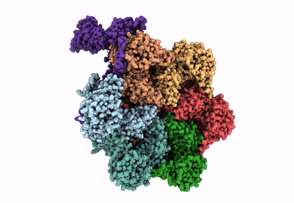 8FCR image