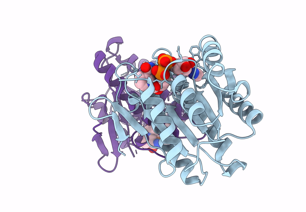8FD8 image