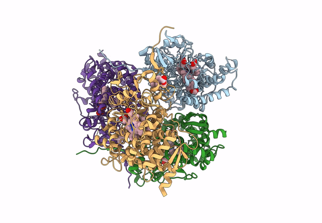 8FDA image