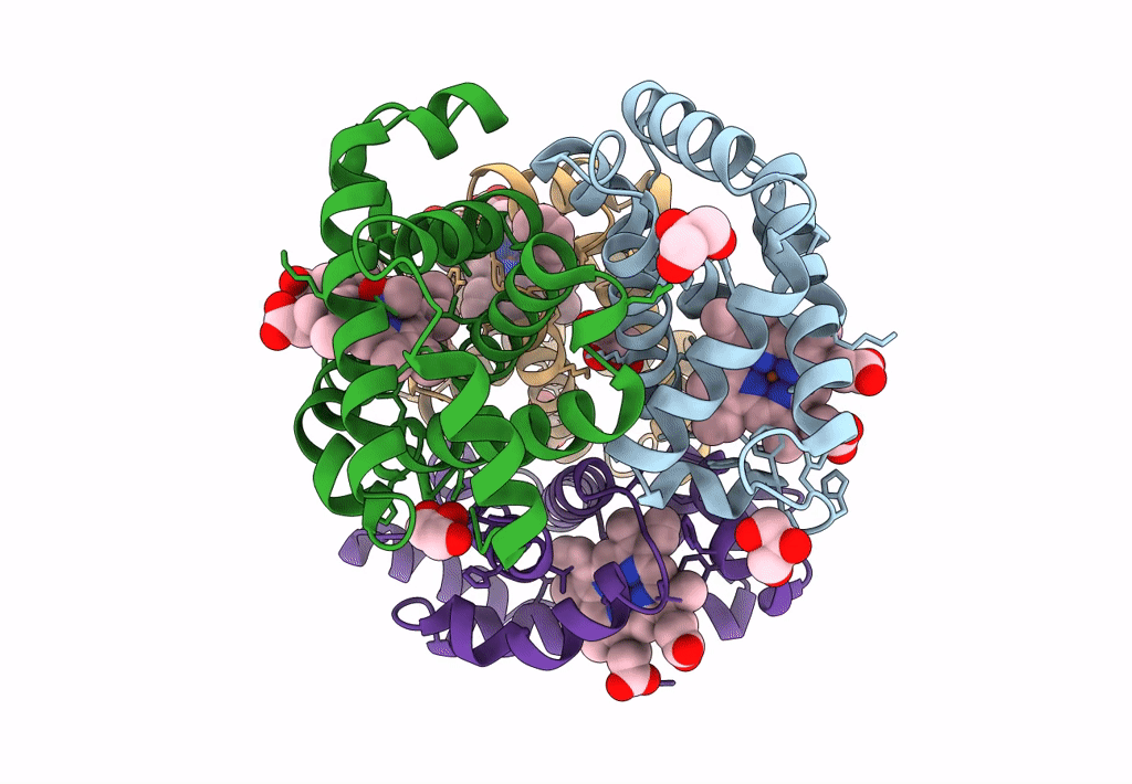 8FDM image