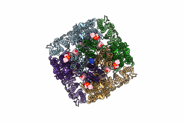 8FFQ image