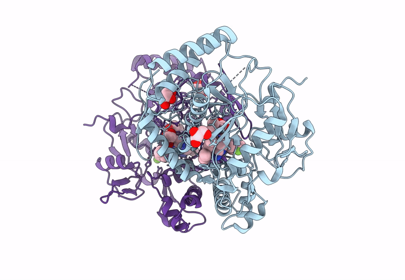 8FGG image
