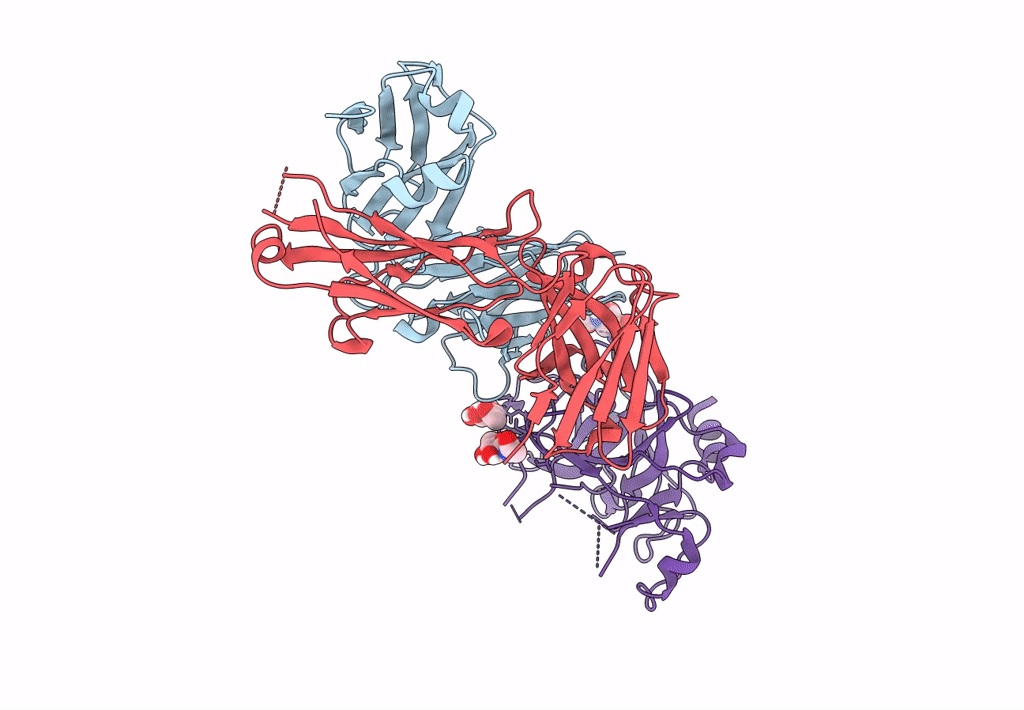 8FGX image