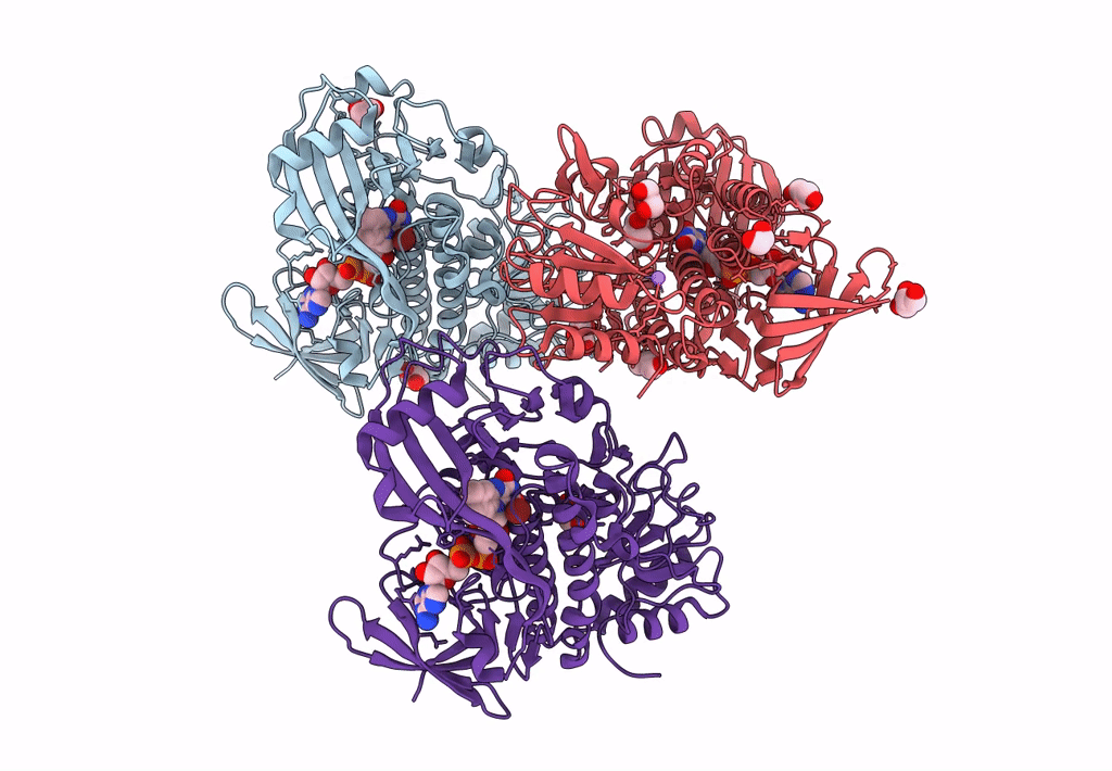 8FHJ image