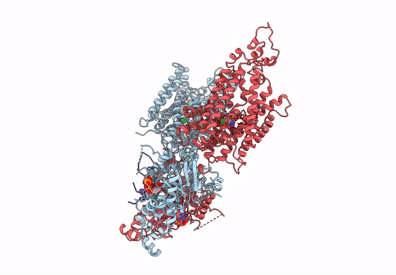 8FHN image