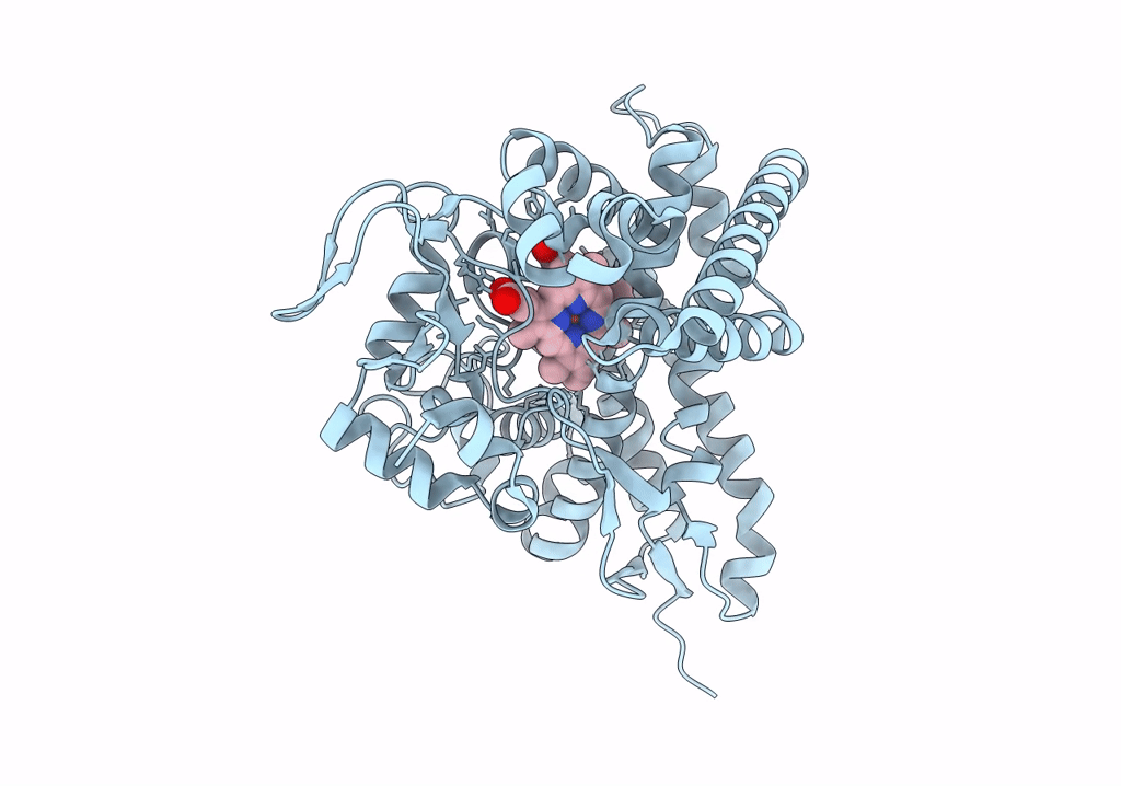 8FIB image