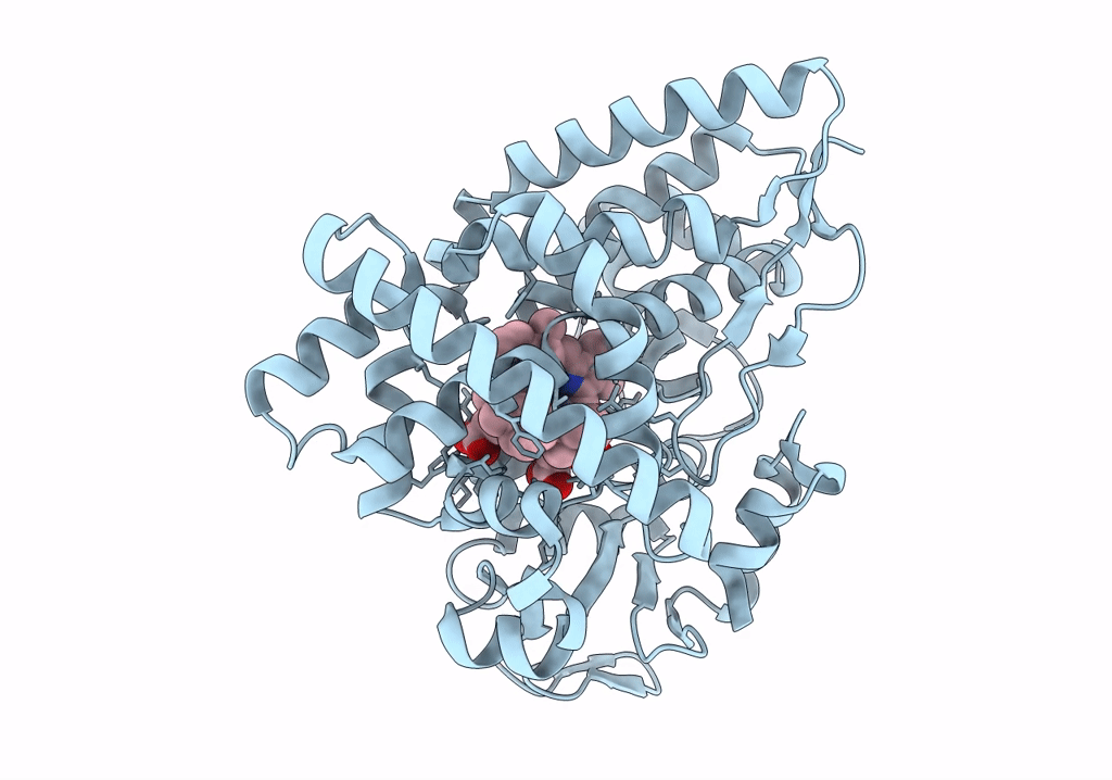 8FID image