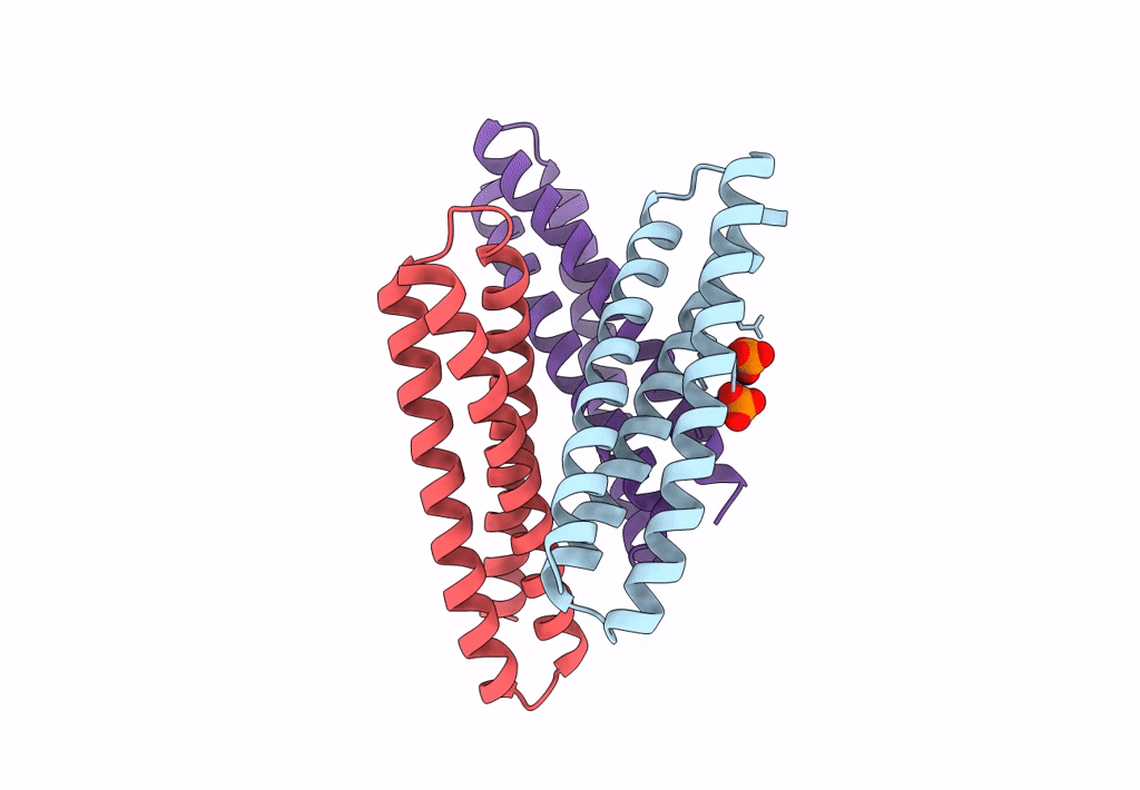 8FIH image