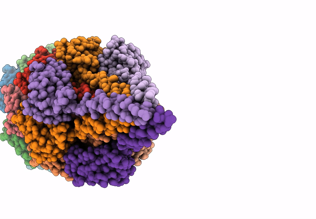 8FJ5 image