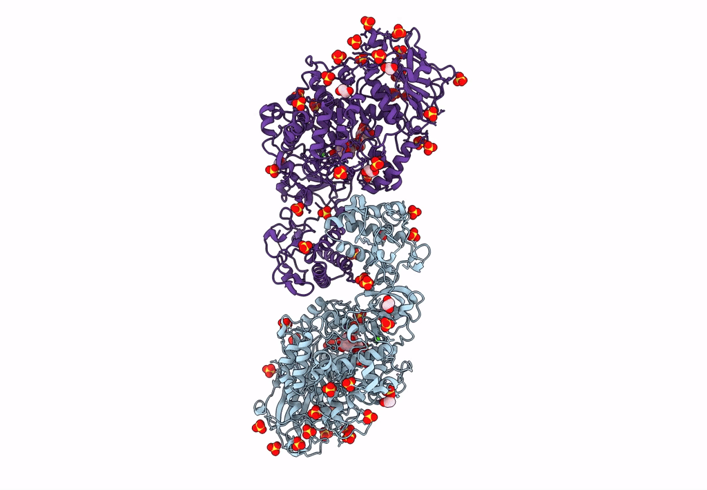 8FJC image