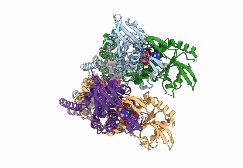 8FLM image