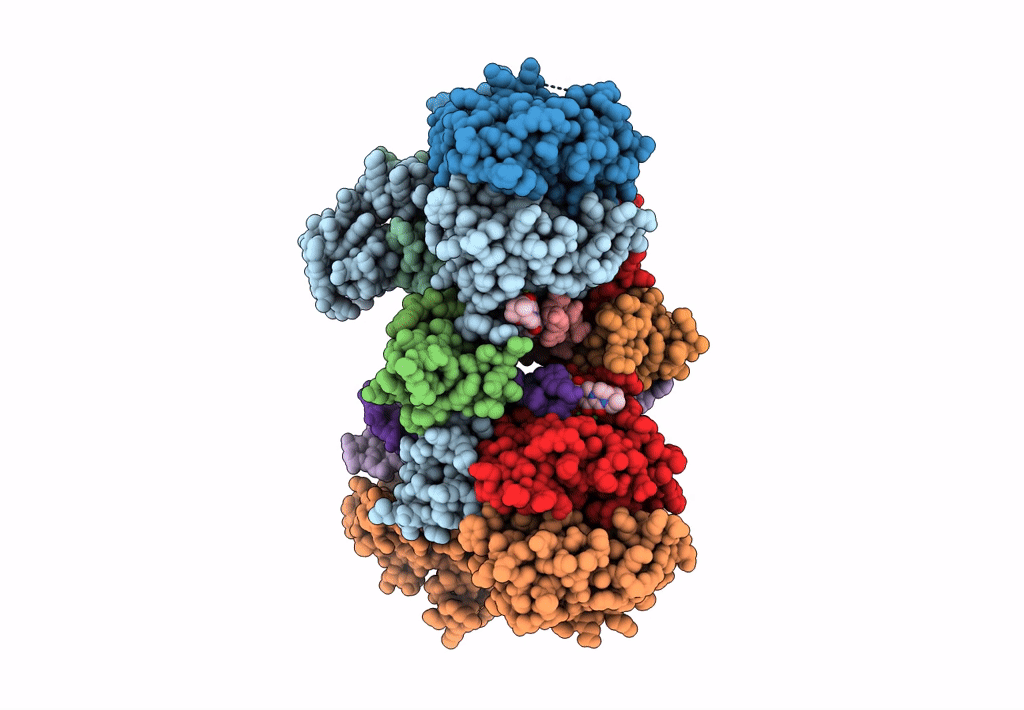 8FNP image