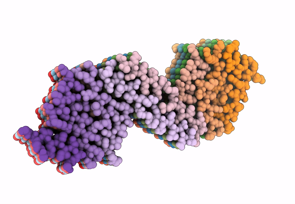 8FNZ image